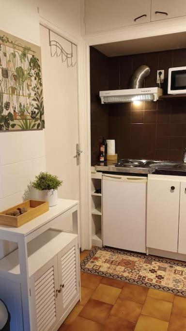 Appartement Petit Mignon - Hypercentre Toulouse Extérieur photo