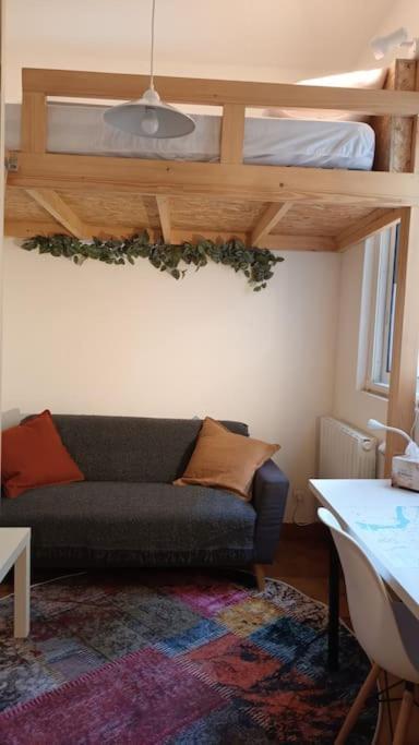 Appartement Petit Mignon - Hypercentre Toulouse Extérieur photo